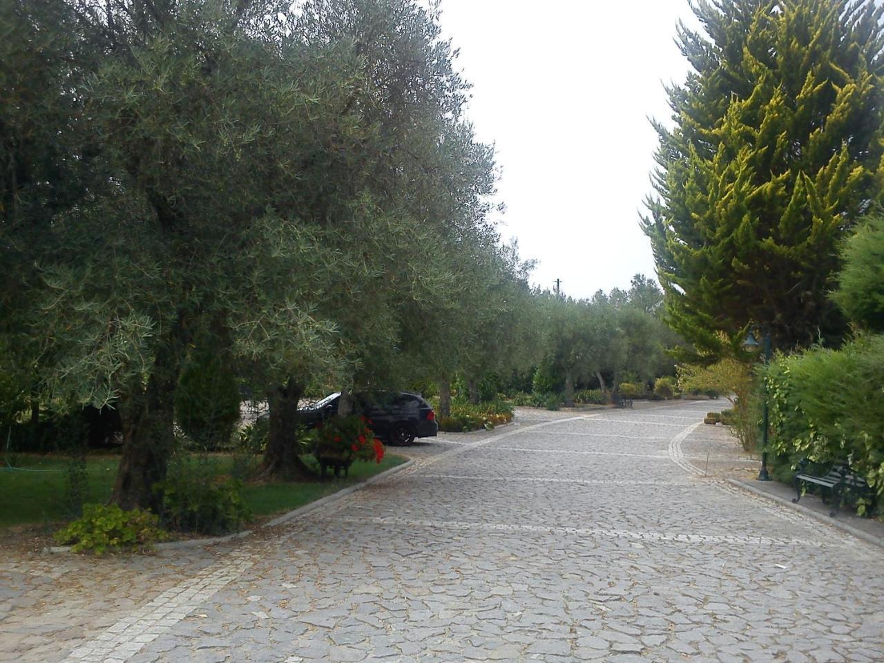 Quinta Da Telheira Hotel Vila Real Eksteriør billede