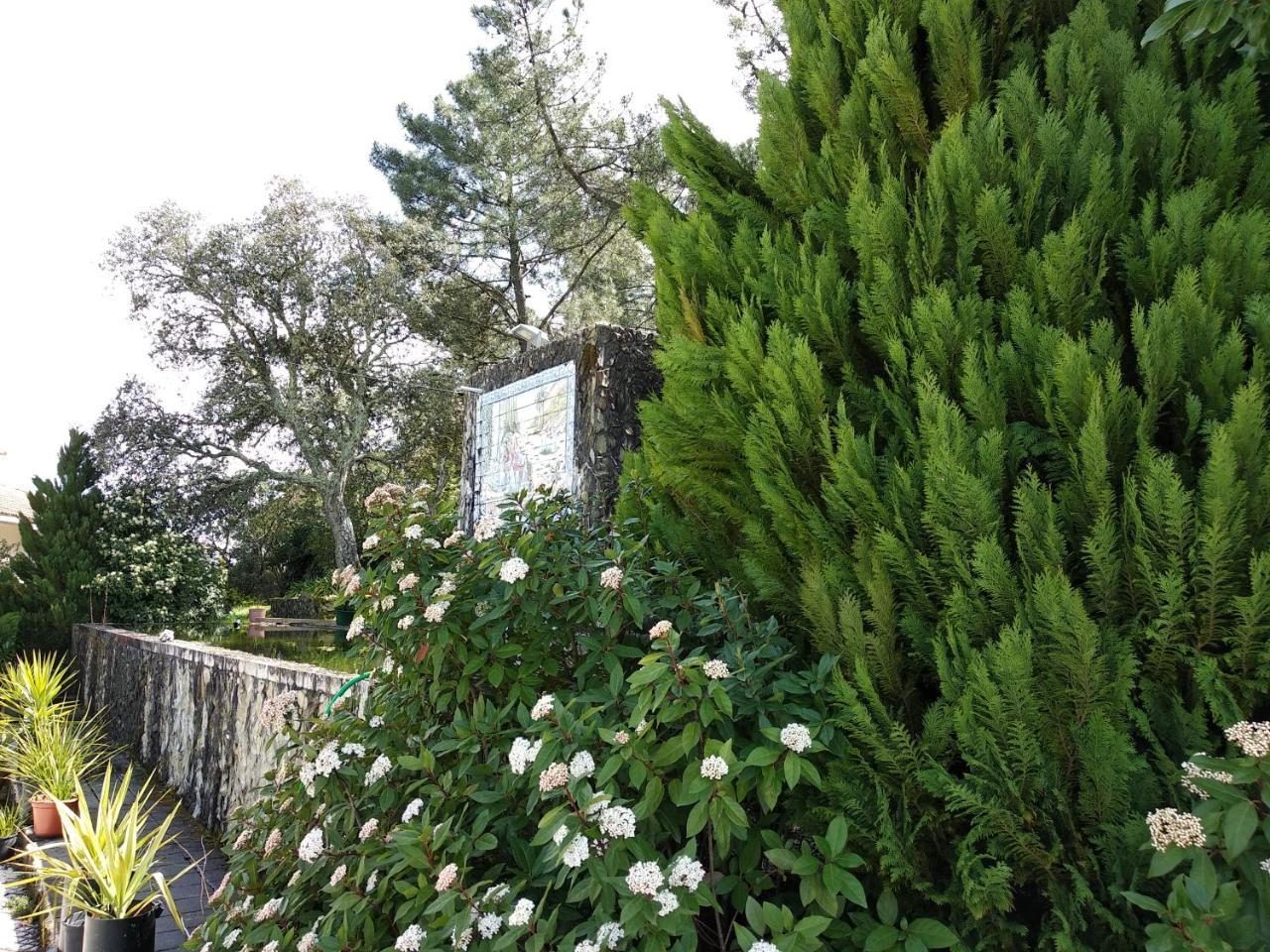 Quinta Da Telheira Hotel Vila Real Eksteriør billede