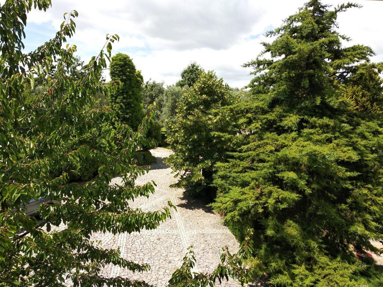 Quinta Da Telheira Hotel Vila Real Eksteriør billede