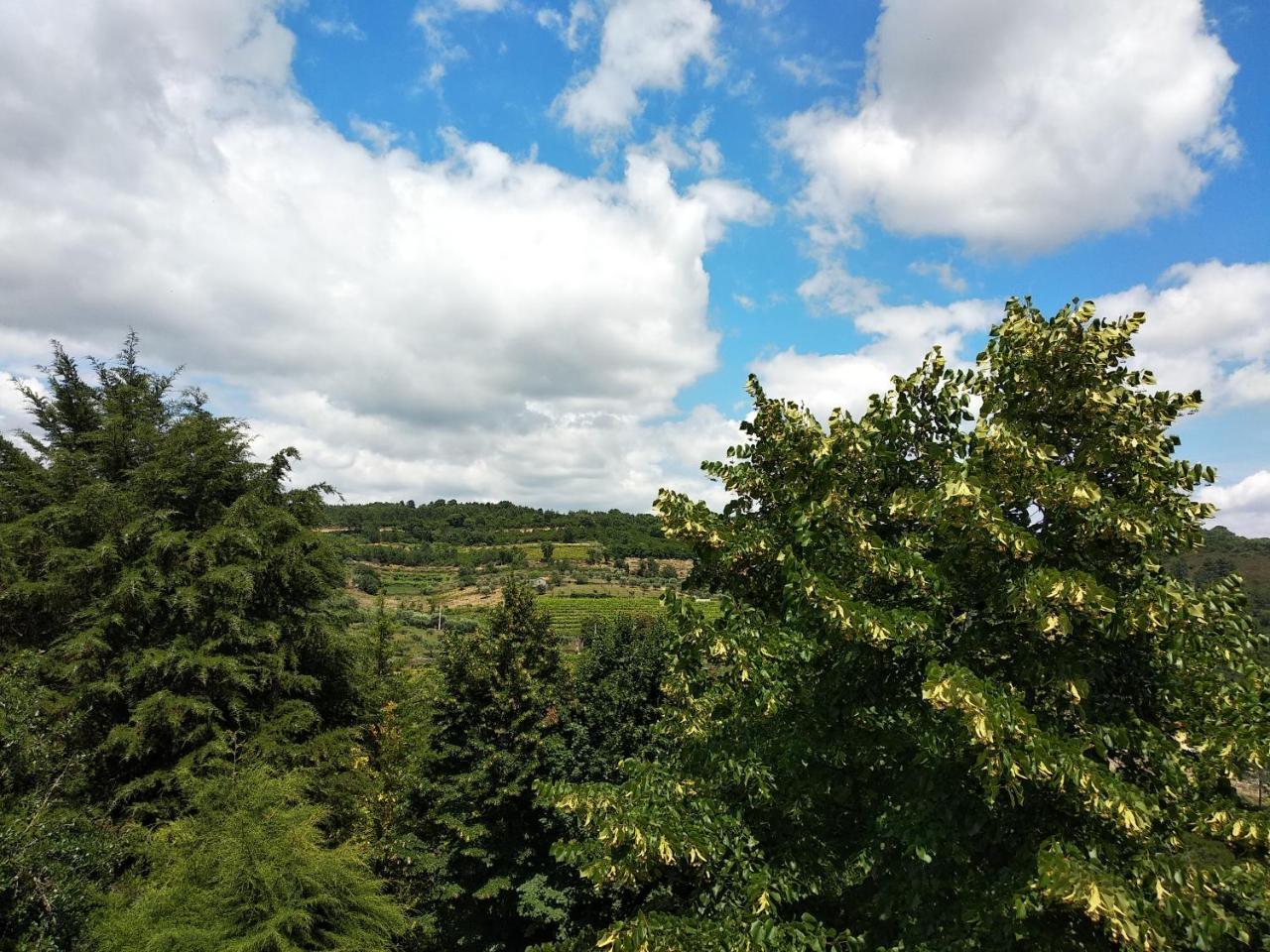 Quinta Da Telheira Hotel Vila Real Eksteriør billede