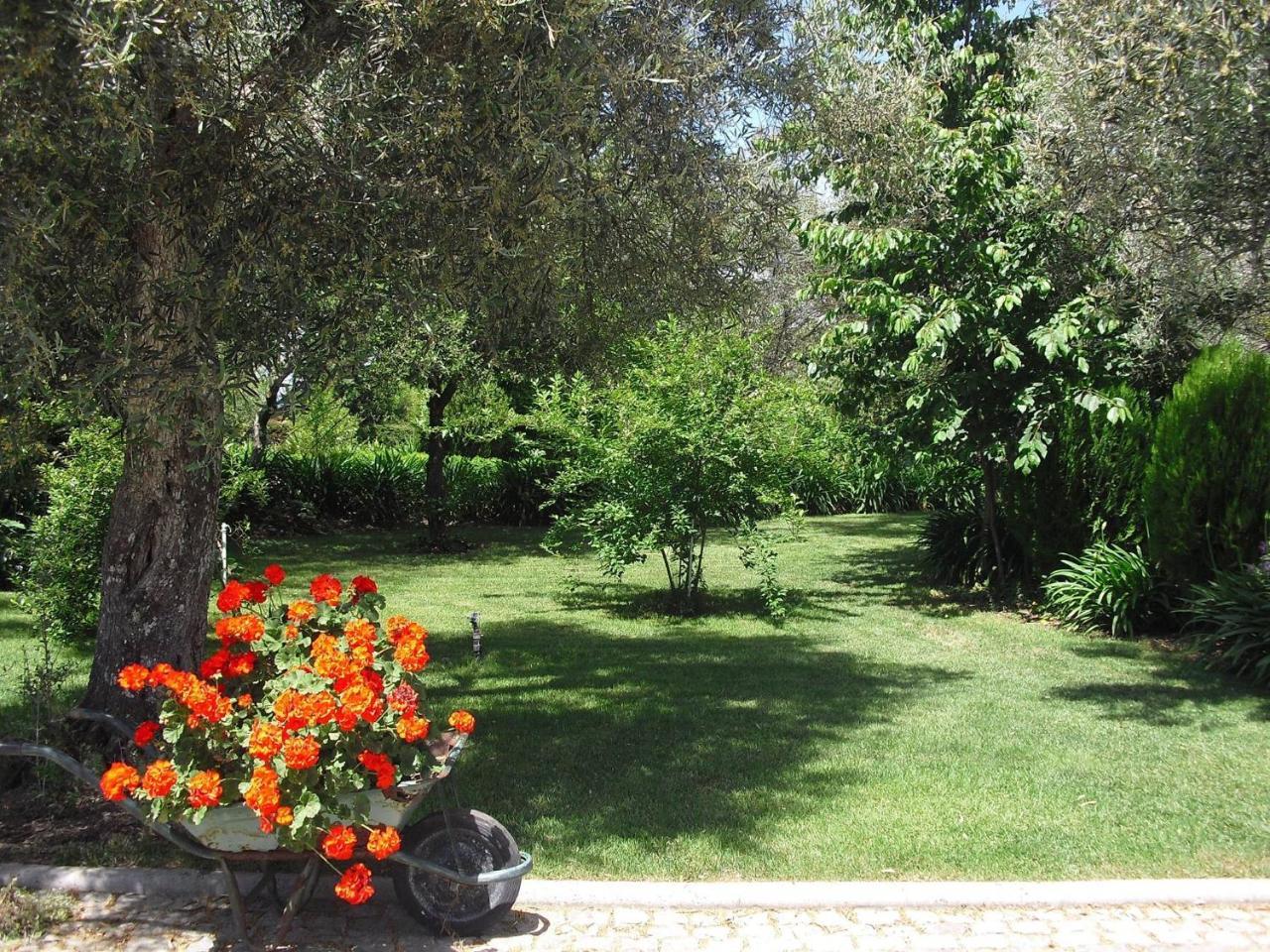 Quinta Da Telheira Hotel Vila Real Eksteriør billede
